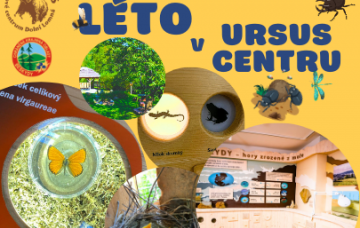 green_brown_orange_creative_summer_camp_program_788_x_940_px_uvodni_fotka_na_facebooku_1_1_