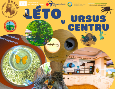 green_brown_orange_creative_summer_camp_program_788_x_940_px_uvodni_fotka_na_facebooku_1_1_