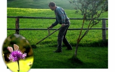 Letak_koseni_ergonomickou_kosou-page-001