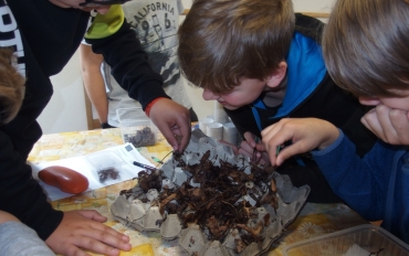 14.5. Ursus motýli 6.tř.  (23)