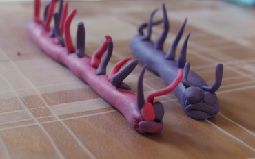 14.5. Ursus motýli 6.tř.  (42)