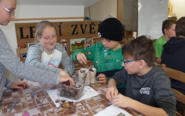 14.5. Ursus motýli 6.tř.  (43)