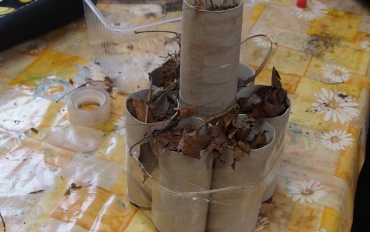 14.5. Ursus motýli 6.tř.  (44)