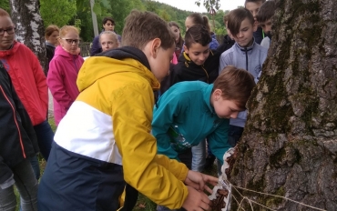 IMG_20190530_092152_BURST1