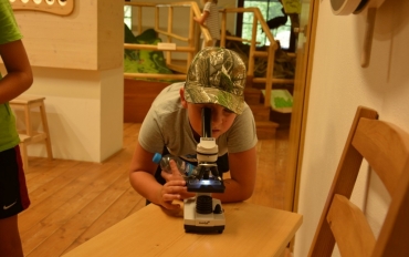 67355716_2397690507155237_5143635482021724160_o