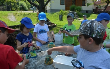 67298392_2397691770488444_7738246318119714816_o