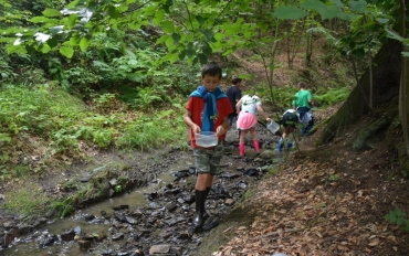 67403520_2397692623821692_8028324728504582144_o