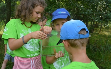 67873263_2397691573821797_2547141642066853888_o