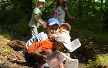 67311139_2397691530488468_7859456819268157440_n