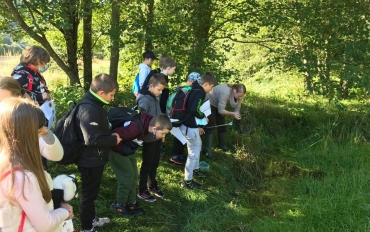 119641133_3478945372157735_3419888098063125502_n