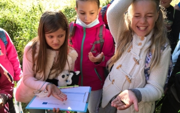 119722087_969157343566040_1685895774197661537_n