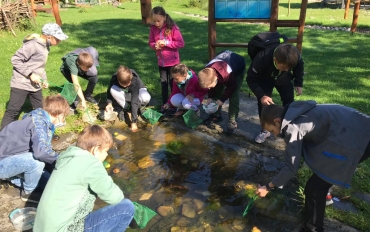 119749687_2306333909491664_3879358704861753035_n