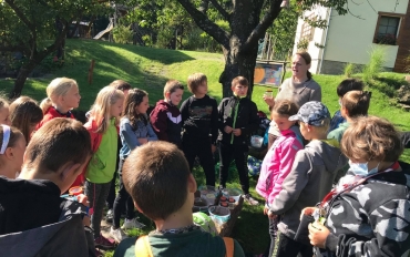 119791611_312185970065983_7851792159946616249_n