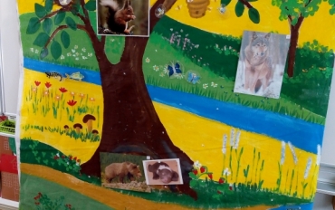 IMG_20210527_085226960