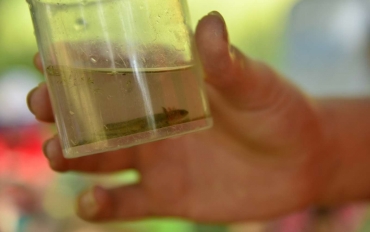 296033714_3409543345969943_7524289450489318268_n