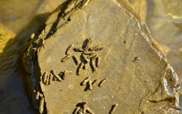 296226036_3409540692636875_3319552214837604993_n