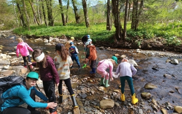 Obrázek WhatsApp, 2025-08-01 v 16.04.11_f78d7381