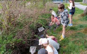 Obrázek WhatsApp, 2025-08-01 v 16.04.12_d7d2128f