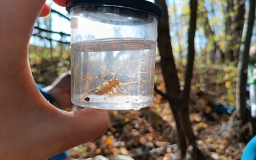 WhatsApp Image 2024-10-31 at 12.38.33 (1)