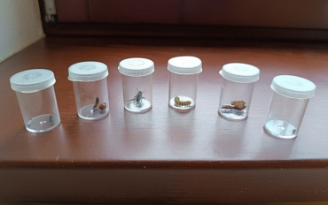 Obrázek WhatsApp, 2025-08-25 v 09.42.09_d0f3d76c