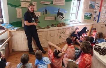 Obrázek WhatsApp, 2025-08-25 v 10.06.07_6fba792a