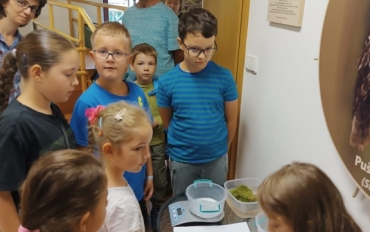 Obrázek WhatsApp, 2025-08-25 v 09.59.38_030193f1