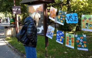 Obrázek WhatsApp, 2025-10-07 v 15.26.52_18405e19